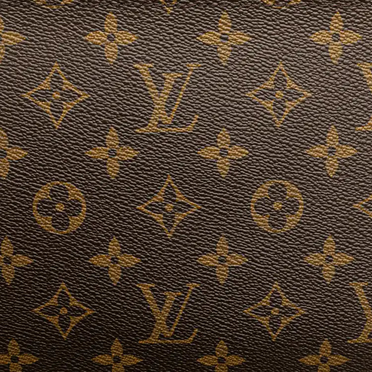 Louis Vuitton Monogram Neverfull Pouch