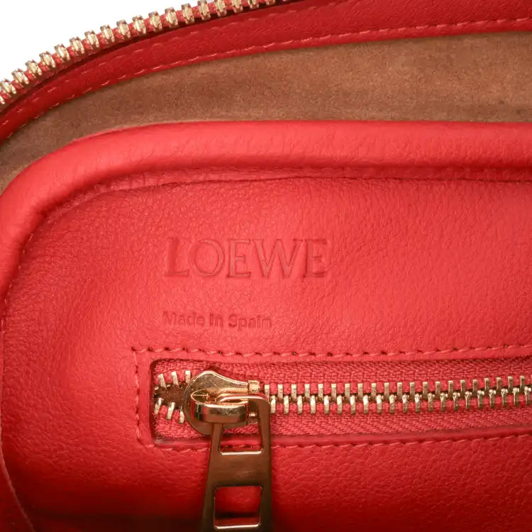 LOEWE Anagram Embossed Leather Amazona 75