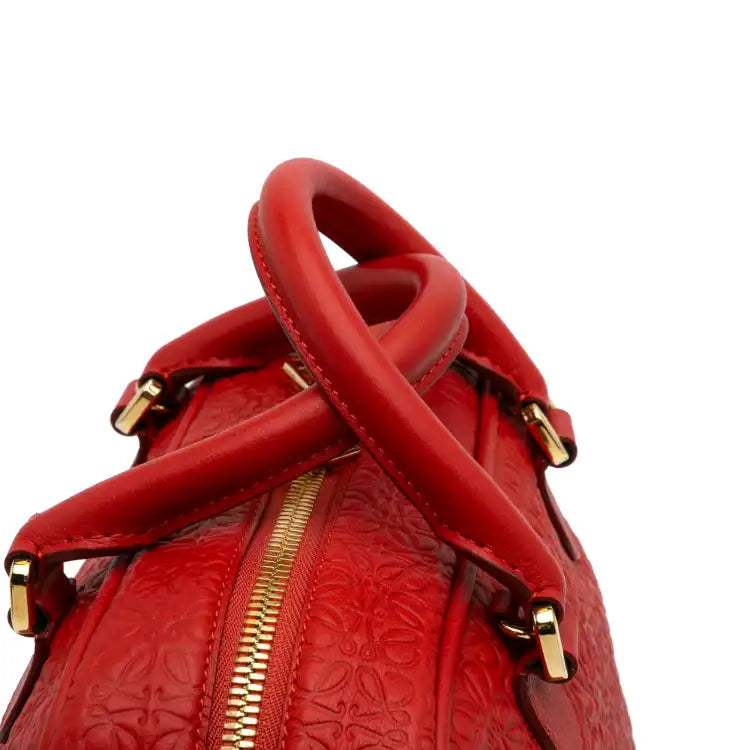 LOEWE Anagram Embossed Leather Amazona 75