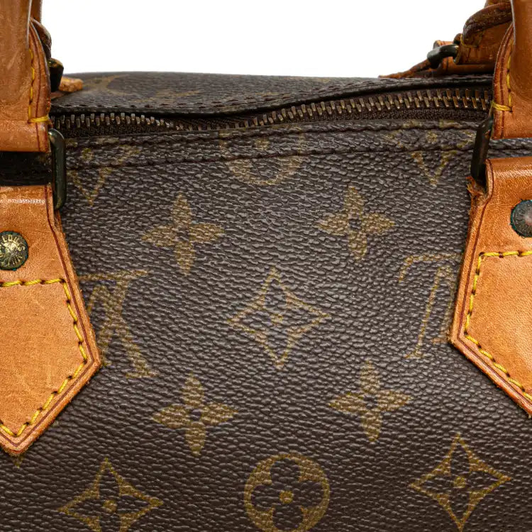 Louis Vuitton Monogram Speedy 35