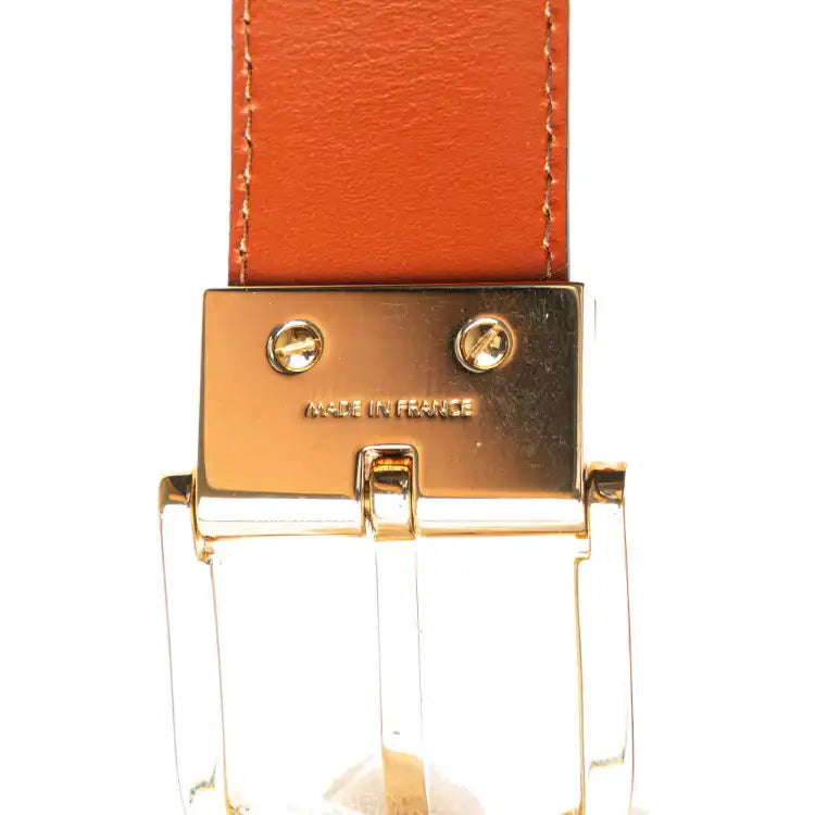 Louis Vuitton Epi Tilsitt Belt Bag