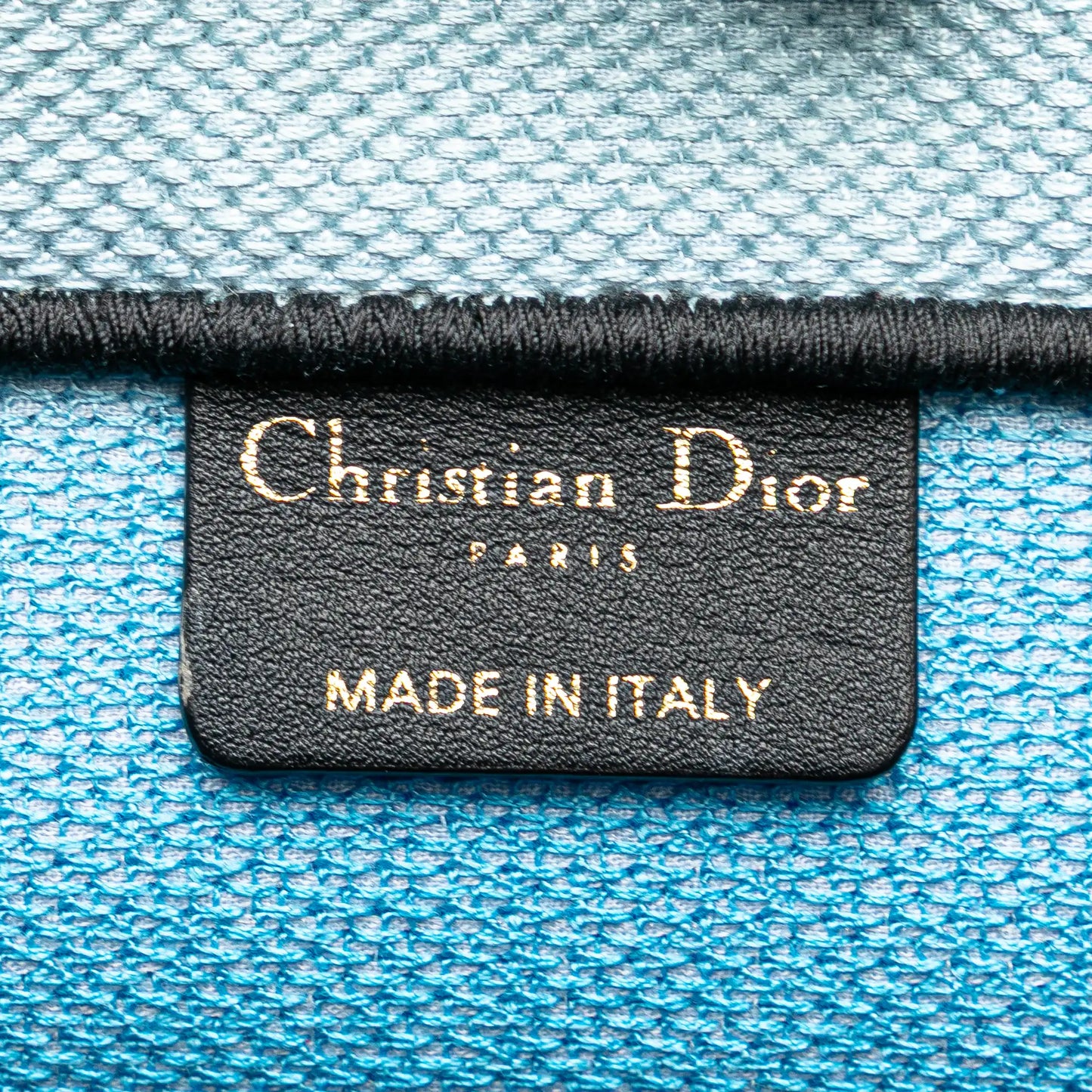 Dior Medium Embroidered Canvas Zebra D Jungle Pop Book Tote