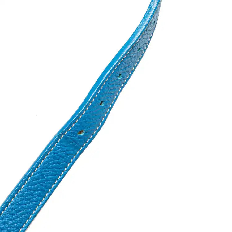 Goyard Goyardine Grenadine Hobo