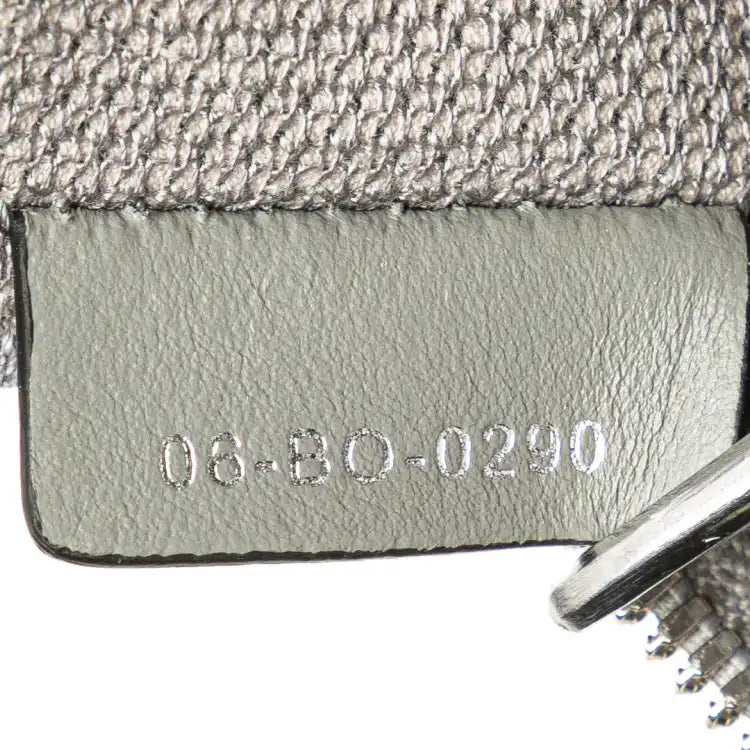 Dior Oblique Canvas Diortravel Vanity Case