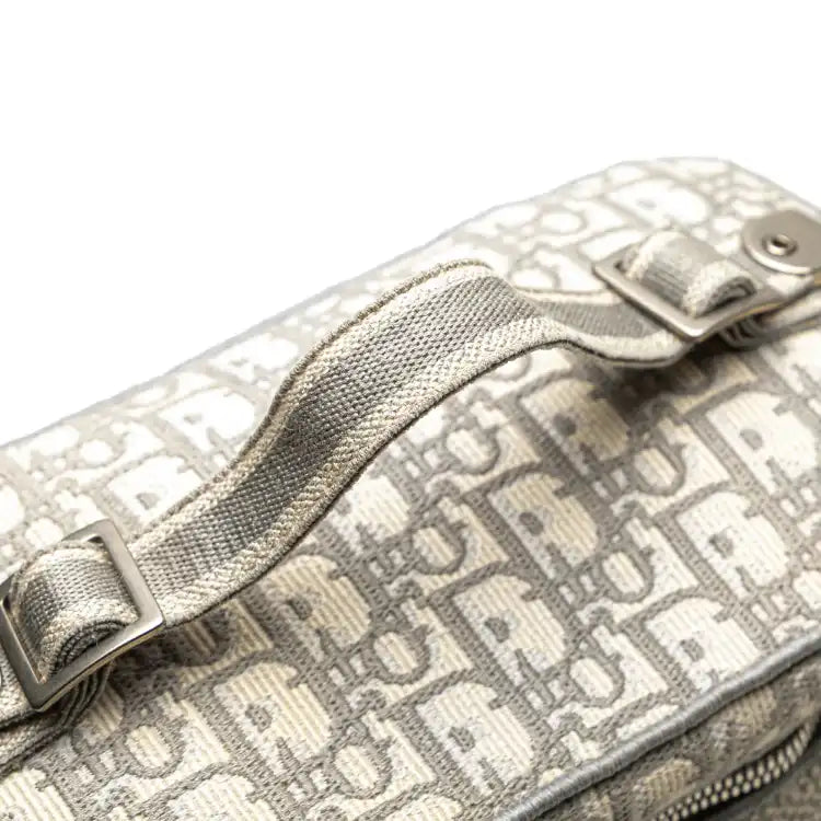 Dior Oblique Canvas Diortravel Vanity Case