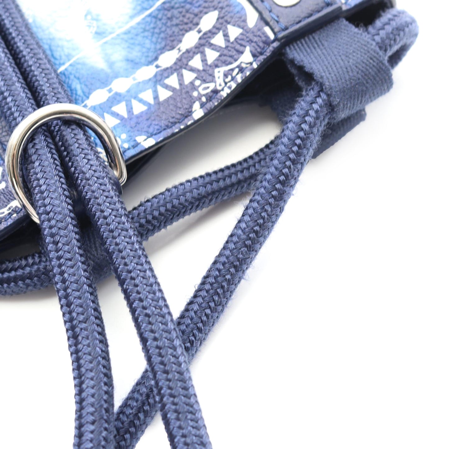 Louis Vuitton Monogram Bandana Randonnee PM