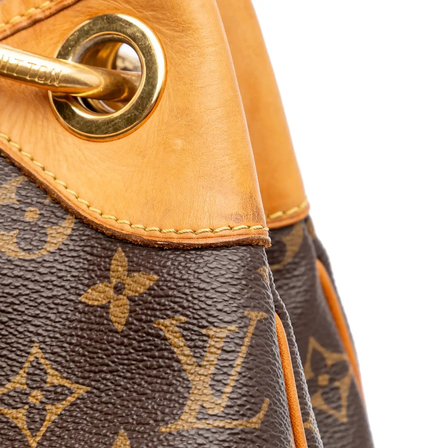 Louis Vuitton Monogram Galliera GM