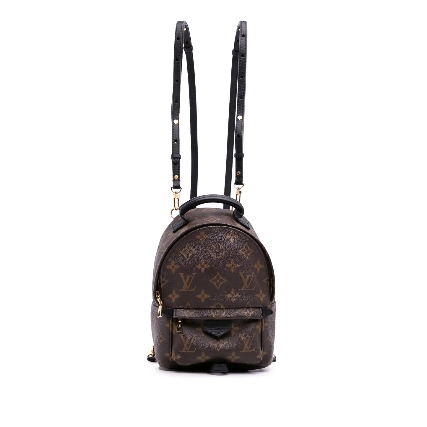 Louis Vuitton Monogram Mini Palm Springs