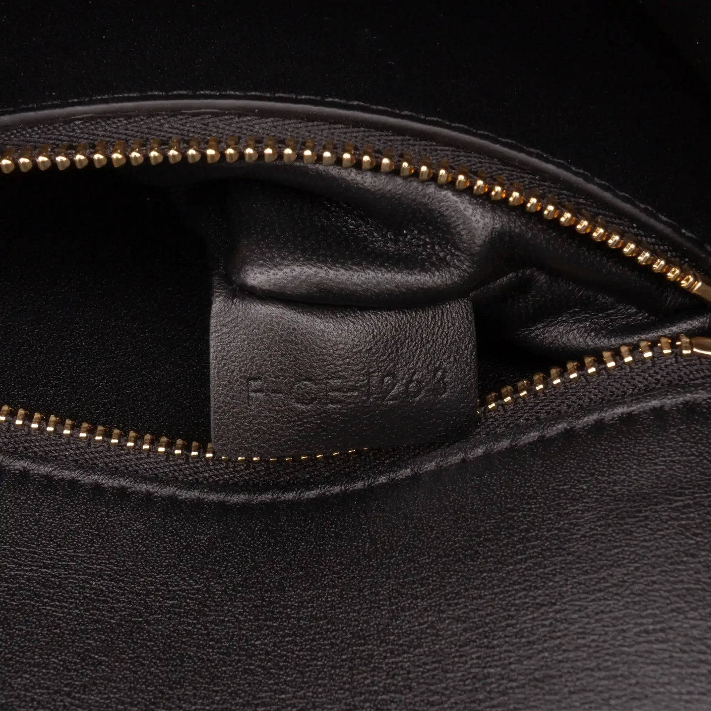 Celine Shiny Calfskin College Triomphe