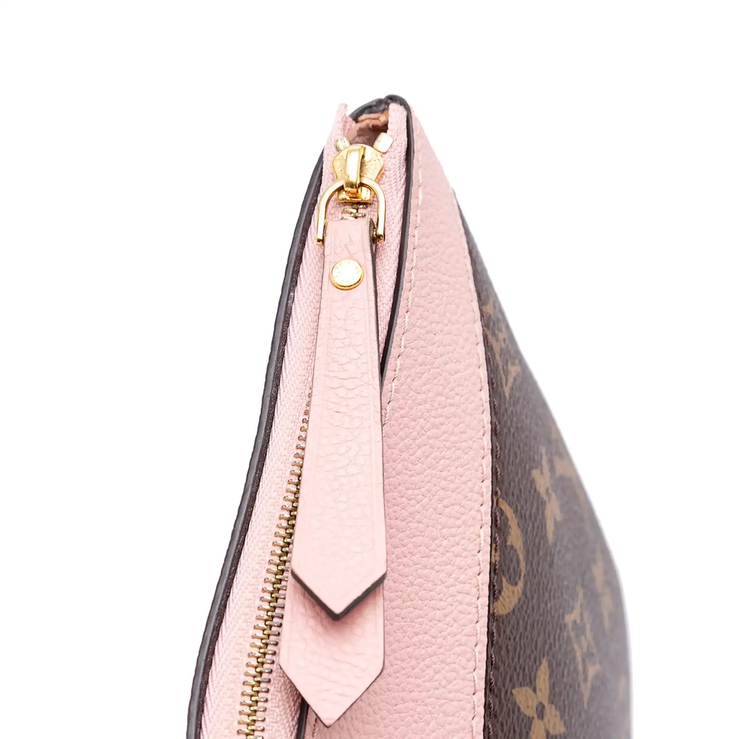 Louis Vuitton Monogram Daily Pouch