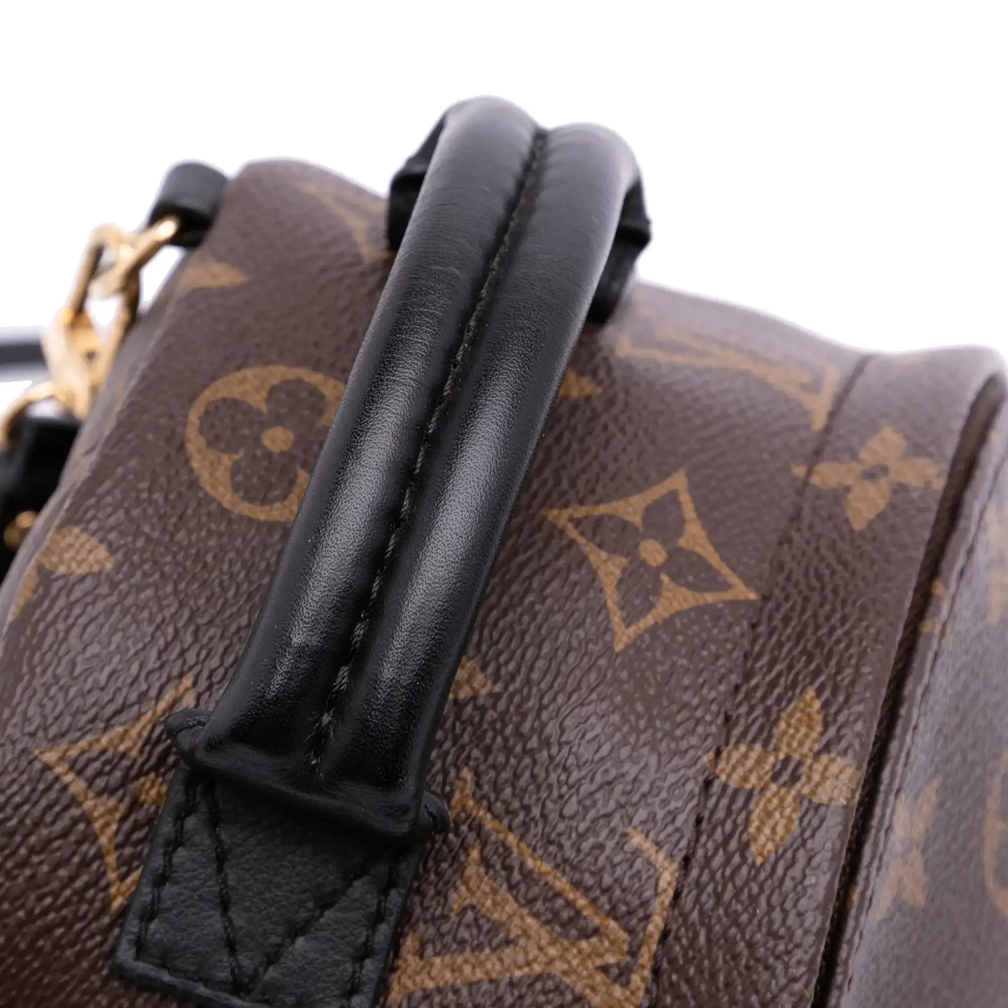 Louis Vuitton Monogram Mini Palm Springs