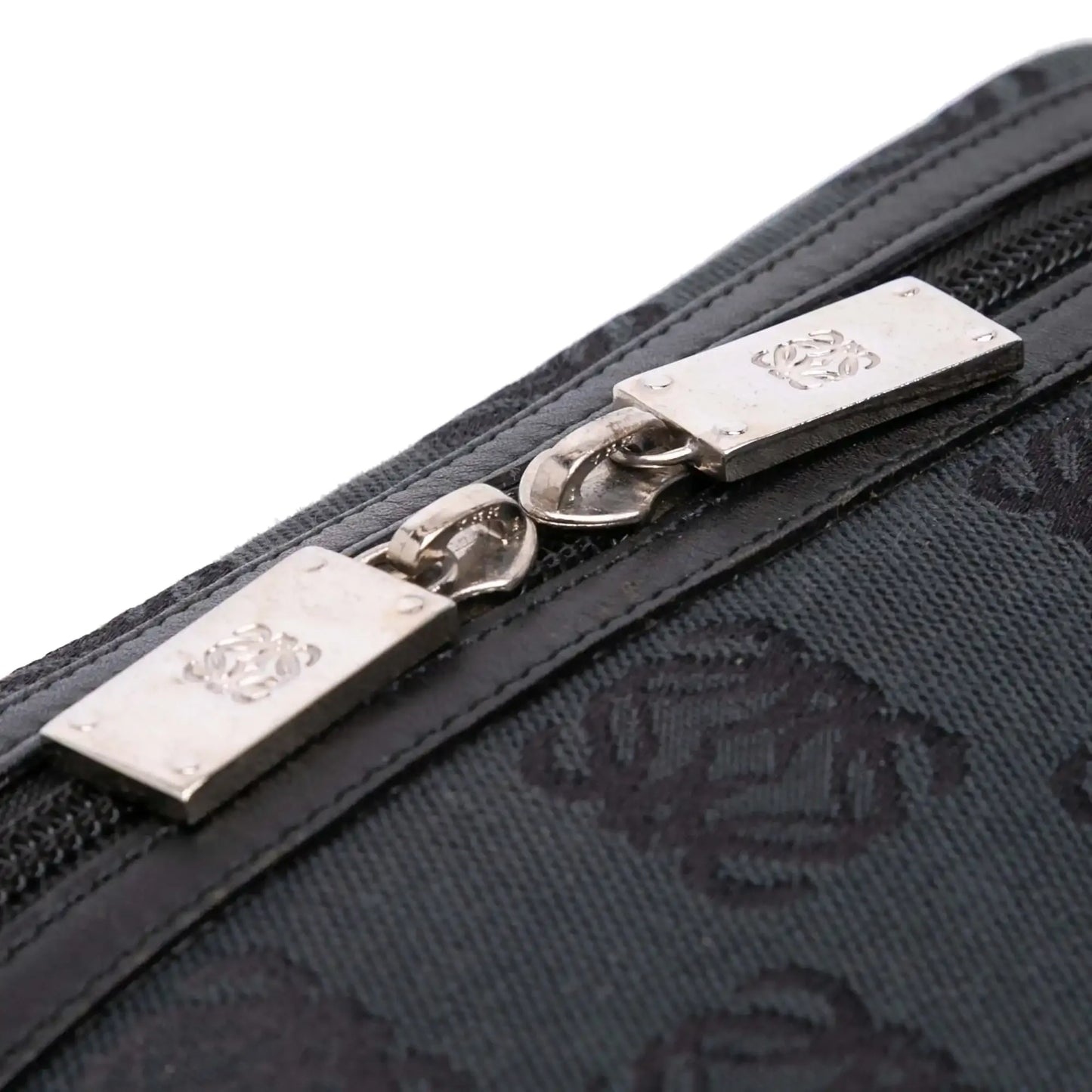 Loewe Anagram Canvas Vanity Case