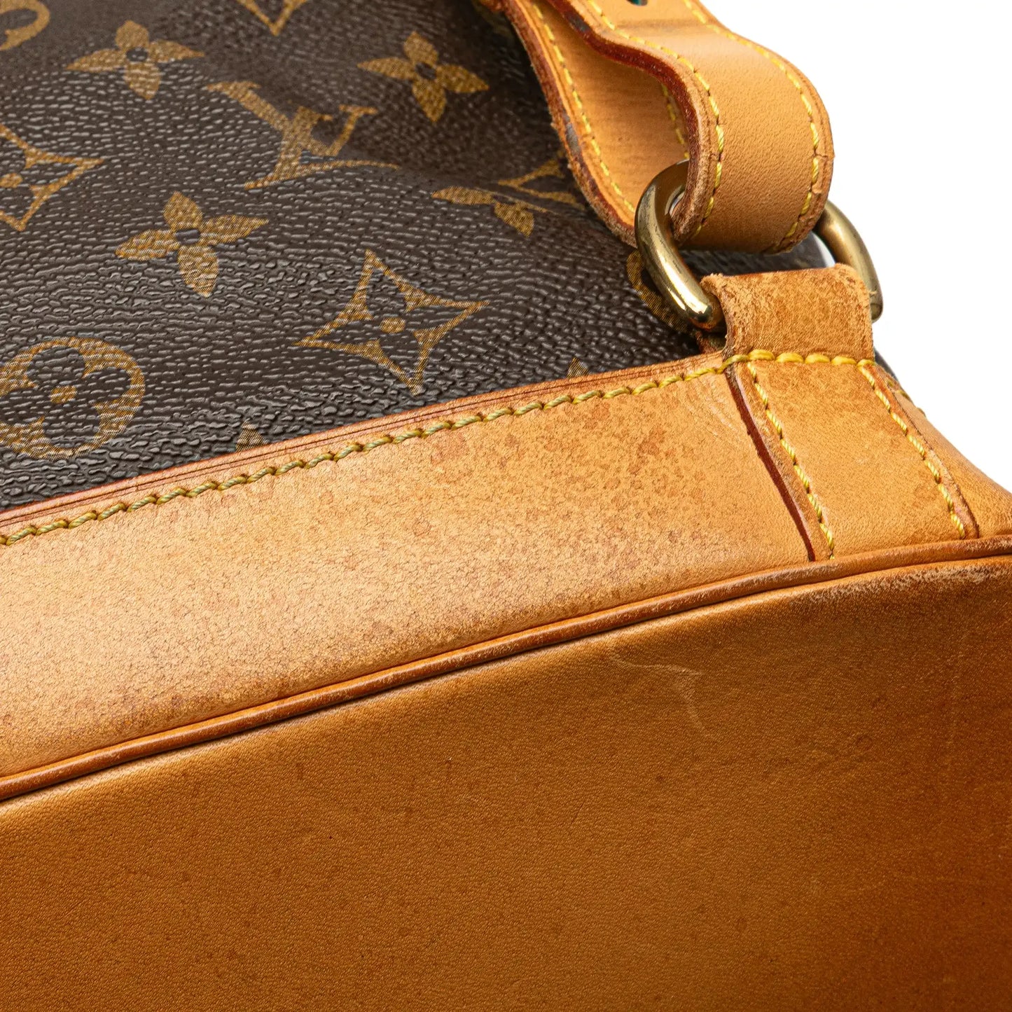 Louis Vuitton Monogram Montsouris GM