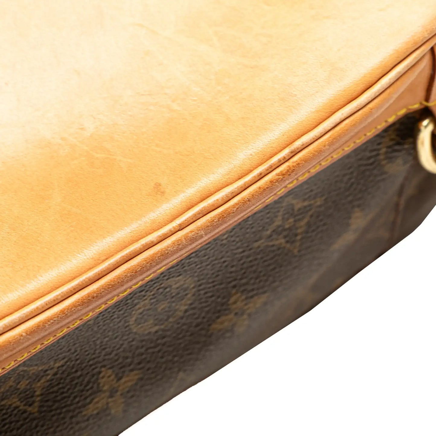 Louis Vuitton Monogram Montsouris MM