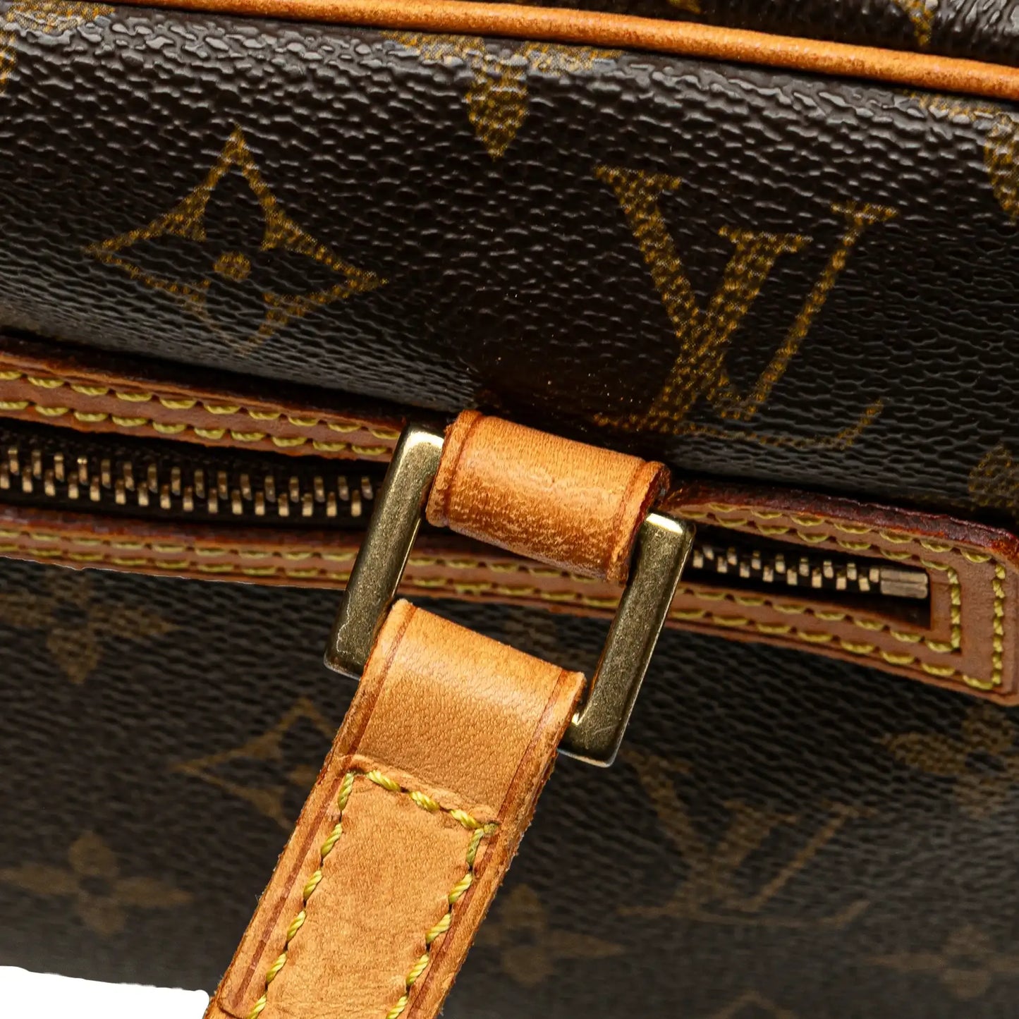 Louis Vuitton Monogram Cite MM