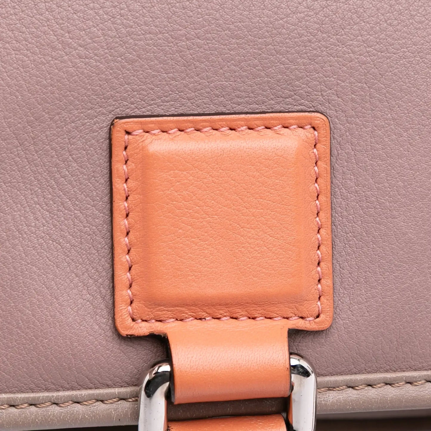 Loewe Tricolor Leather Amazona 28