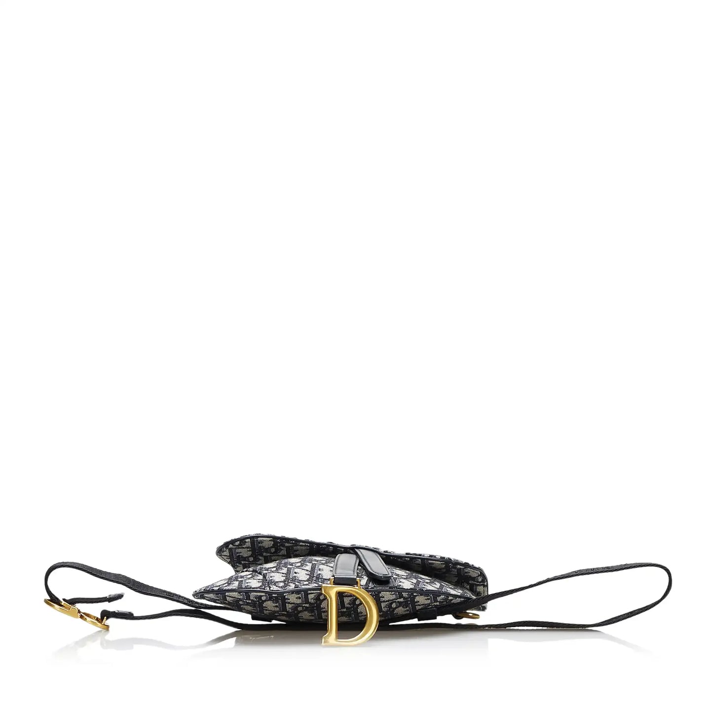 Dior Oblique Canvas Saddle Belt Bag