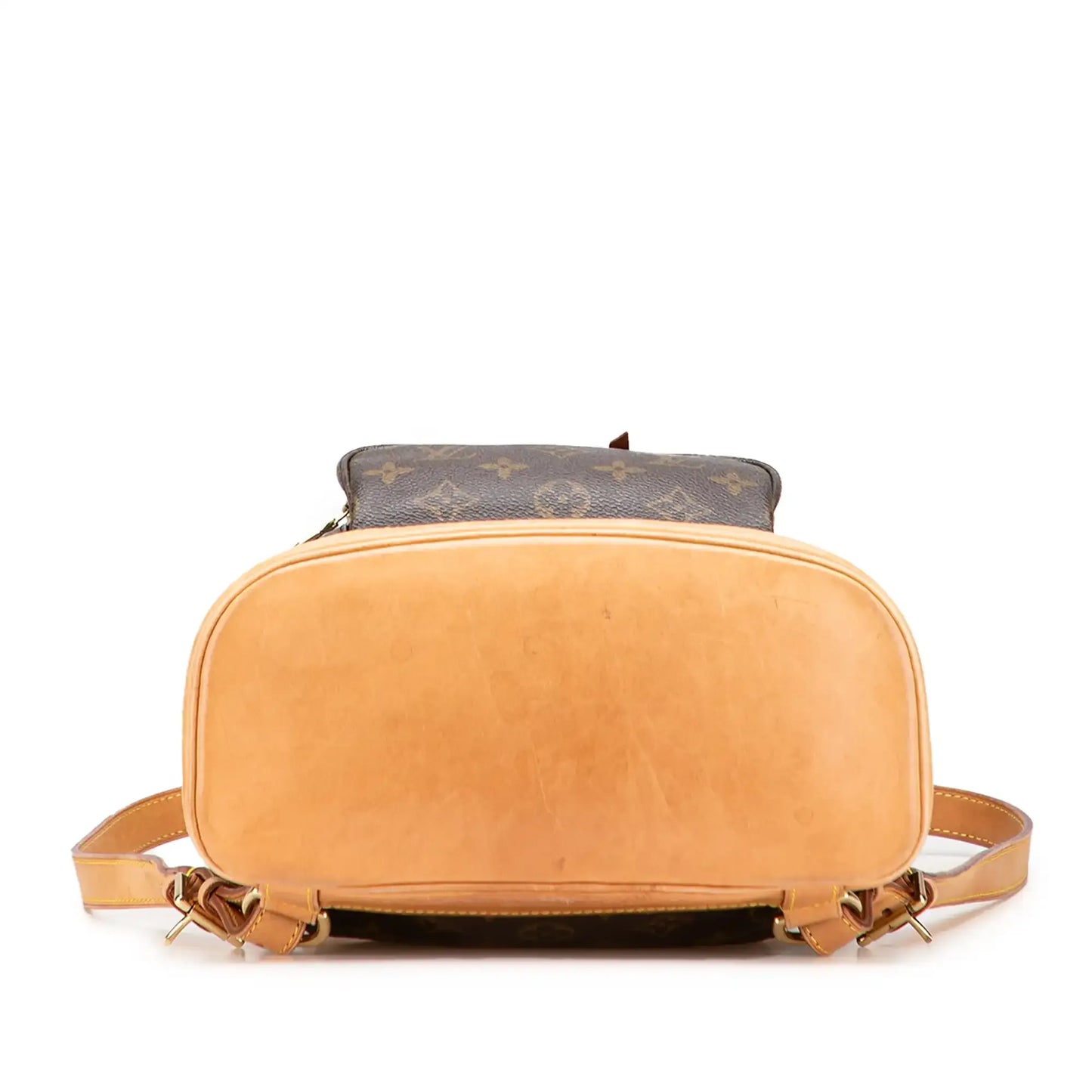 Louis Vuitton Monogram Montsouris MM