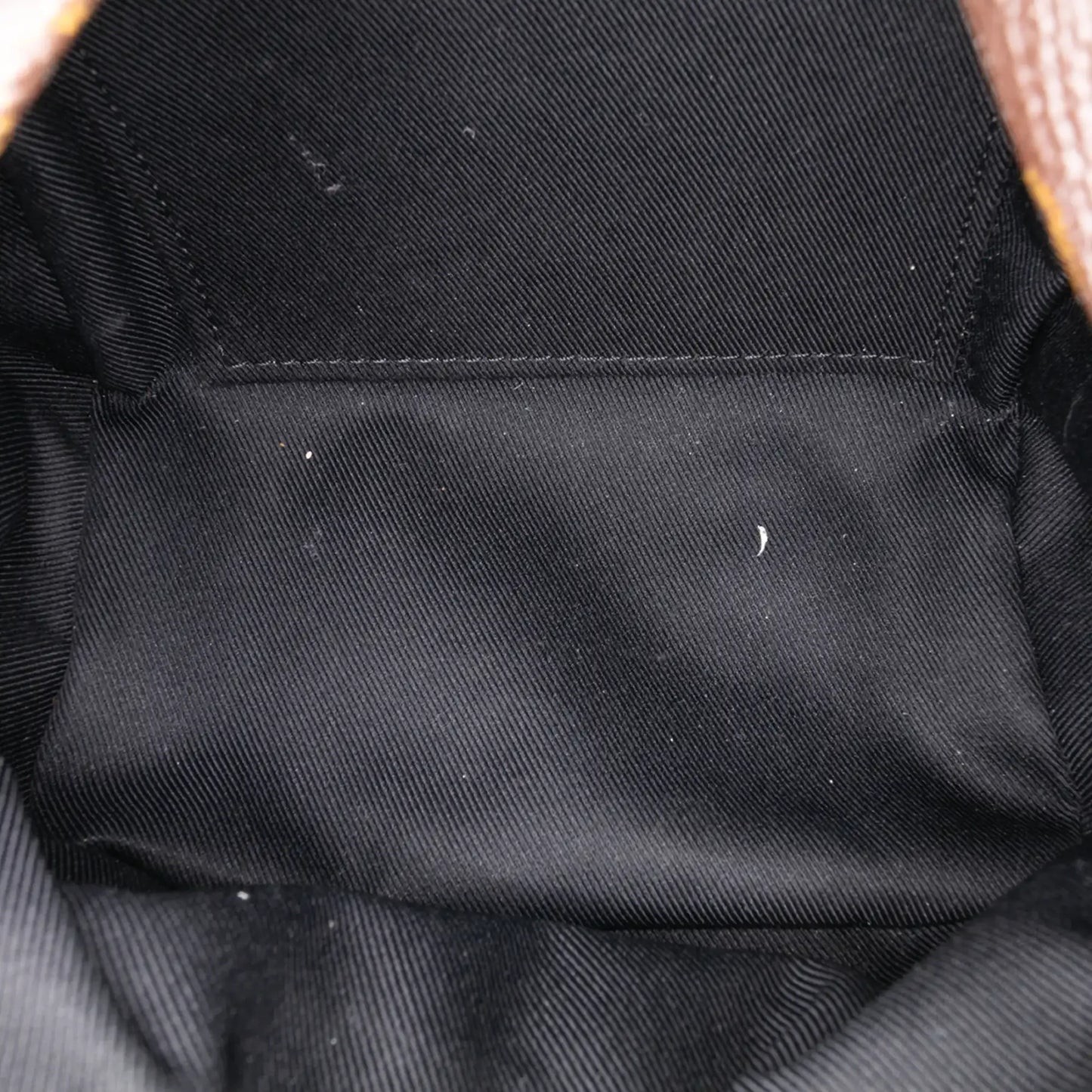 Louis Vuitton Monogram Mini Palm Springs