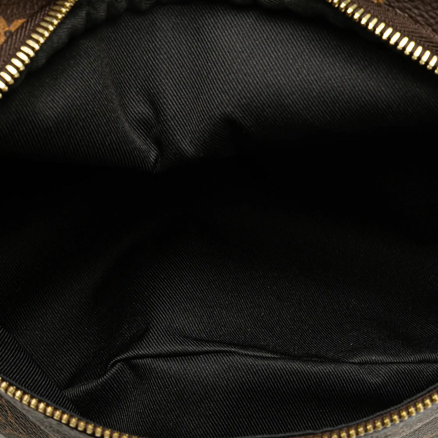 Louis Vuitton Monogram Bumbag