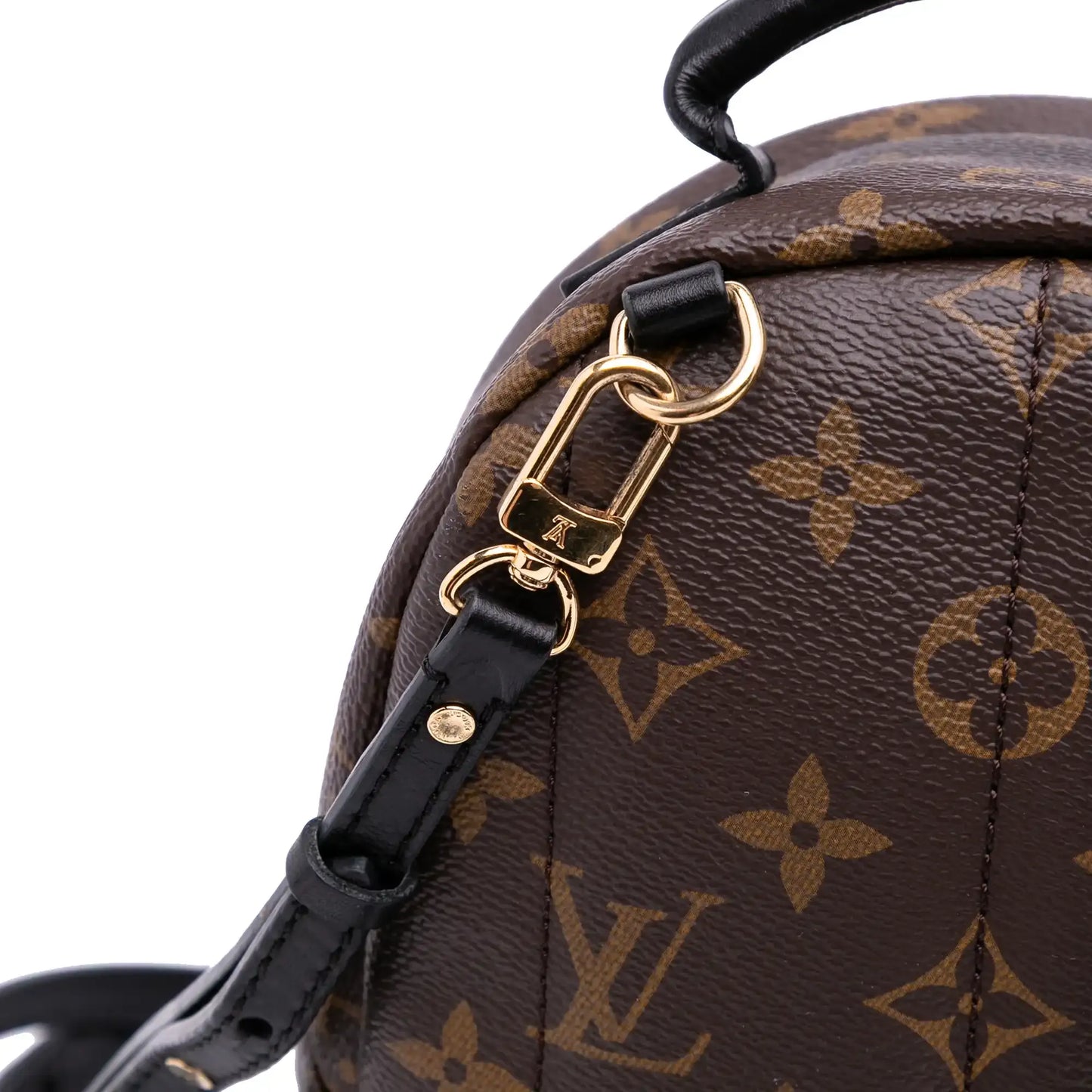Louis Vuitton Monogram Mini Palm Springs