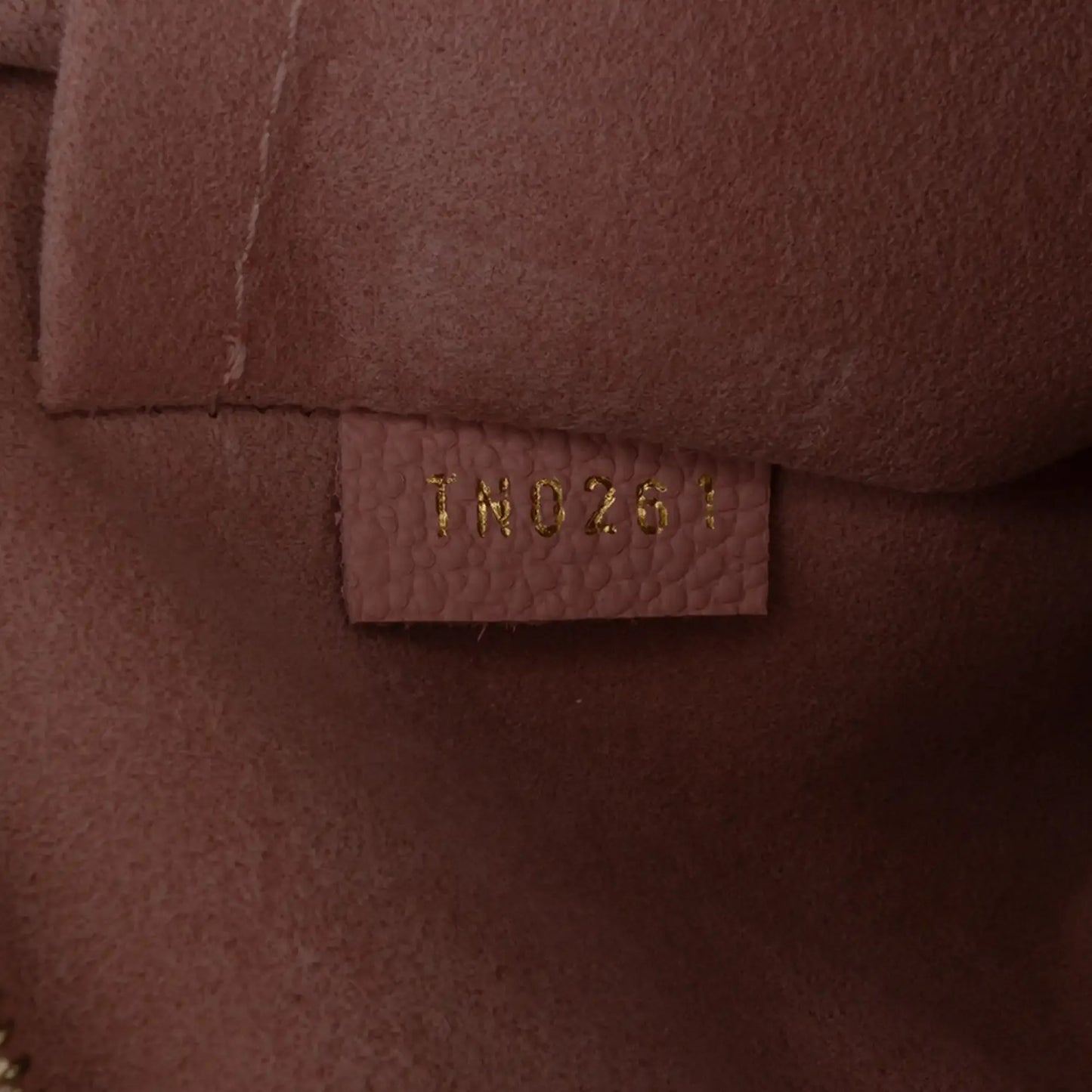 Louis Vuitton Monogram Daily Pouch