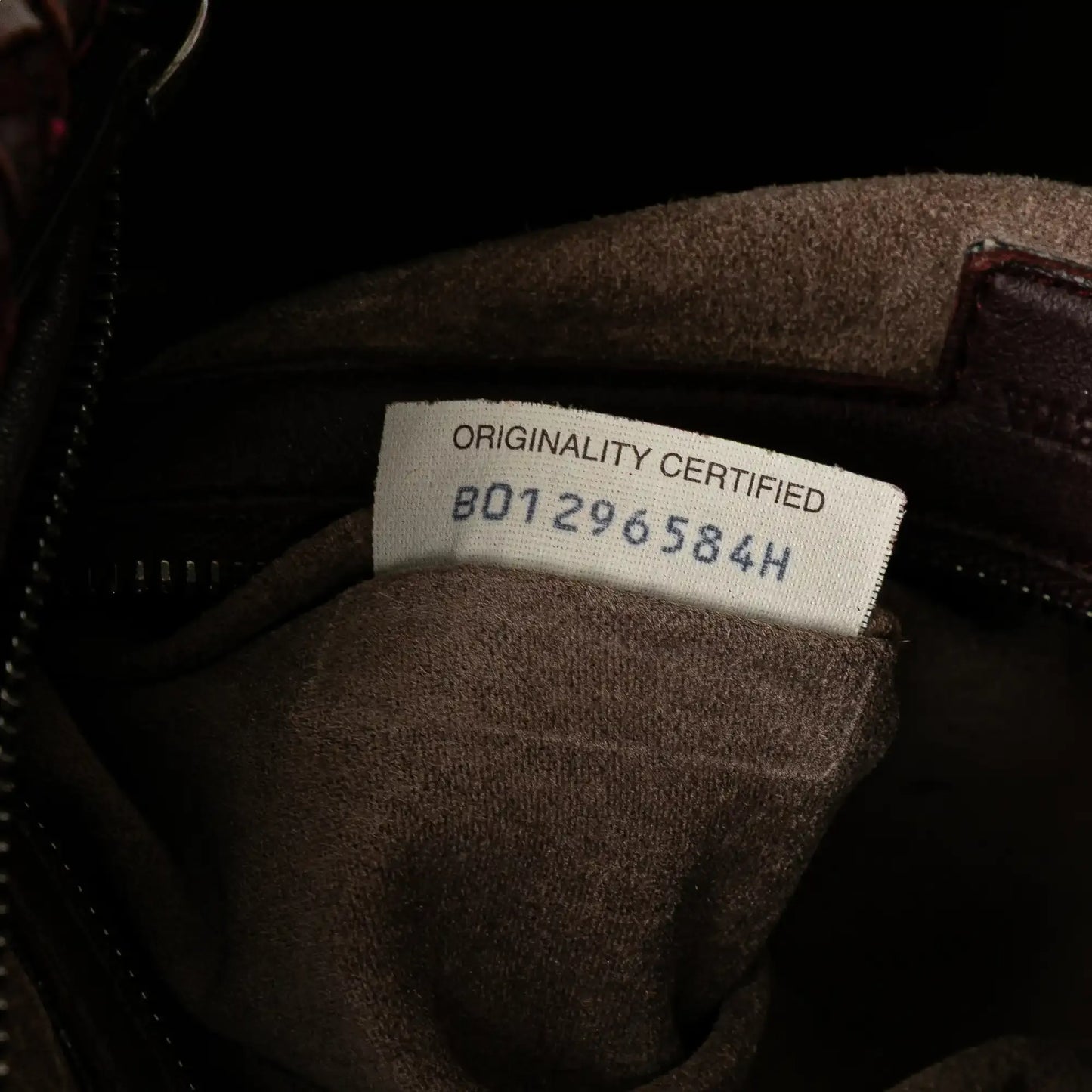 Bottega Veneta Medium Nappa Velours Intrecciato Fuzzy Veneta Hobo