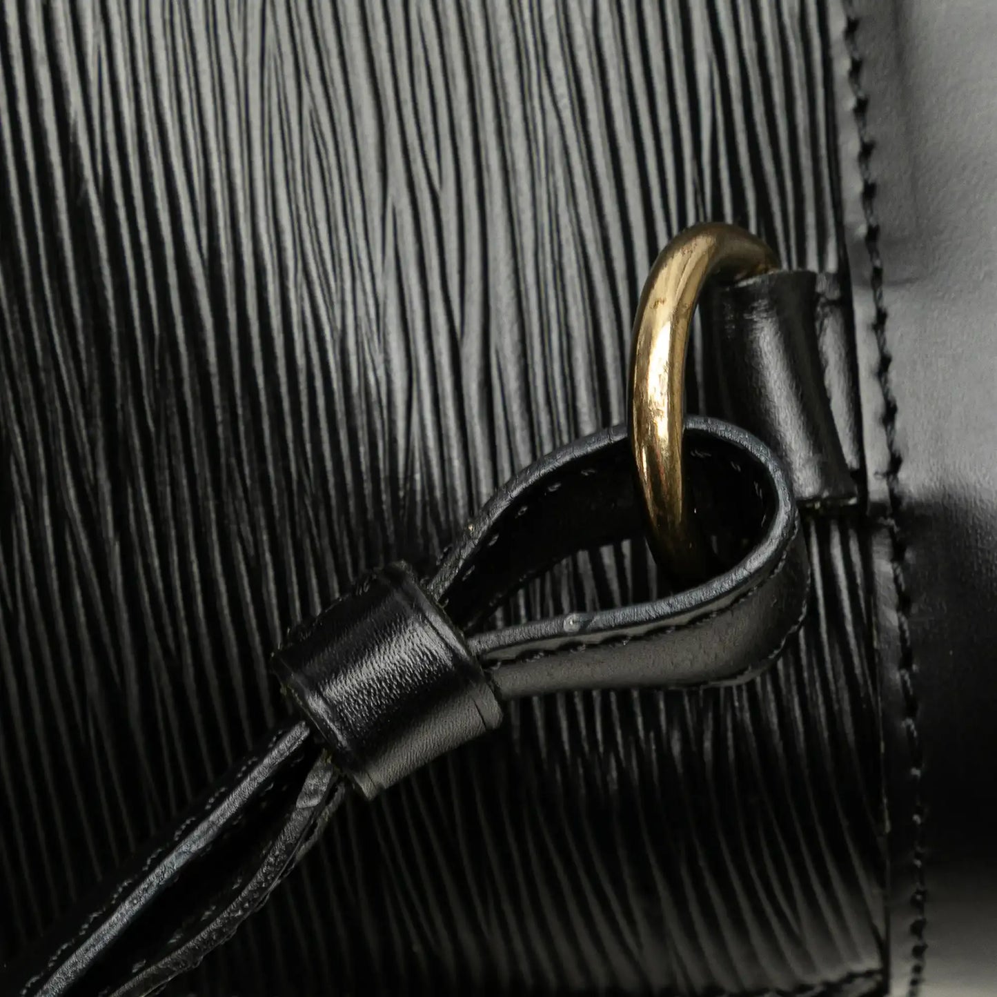 Louis Vuitton Epi Gobelins
