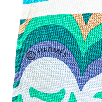 Hermès Brides de Gala Shadow Silk Twilly Scarf