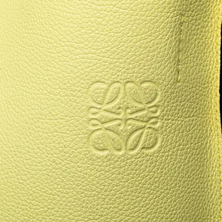 LOEWE Bicolor Calfskin and Raffia Gate Bucket Bag