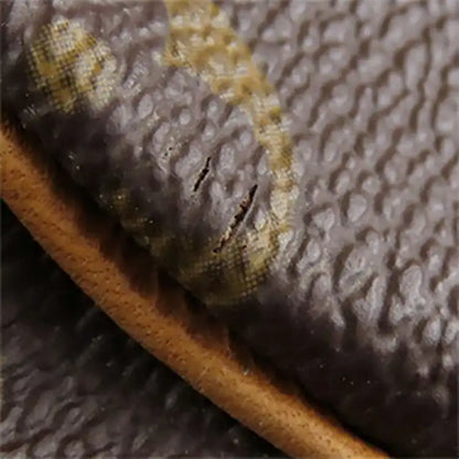 Louis Vuitton Monogram Speedy 30