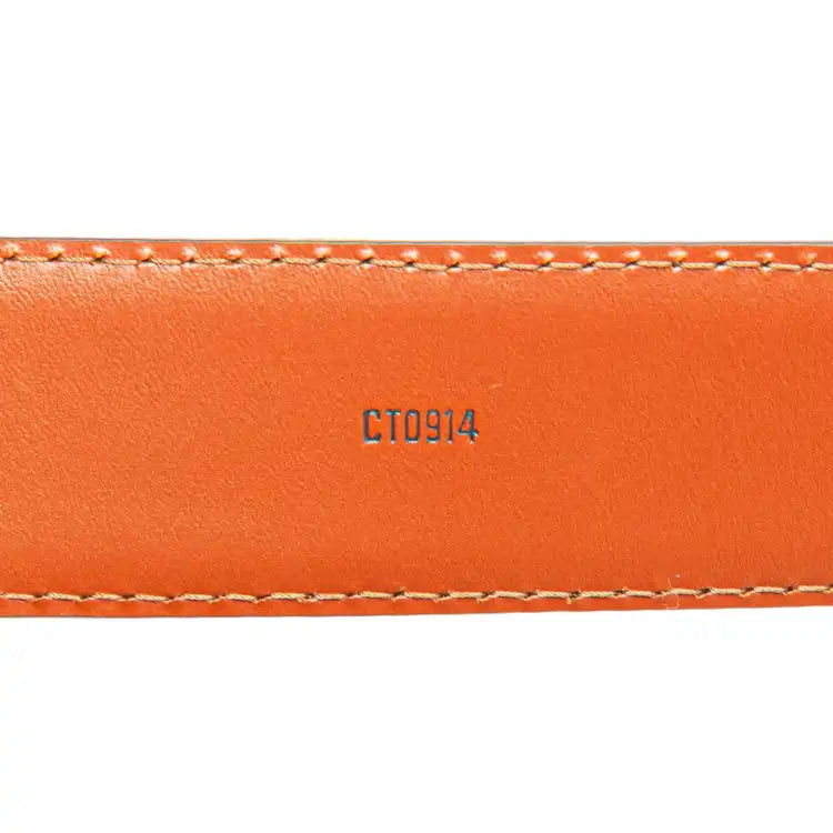 Louis Vuitton Epi Tilsitt Belt Bag