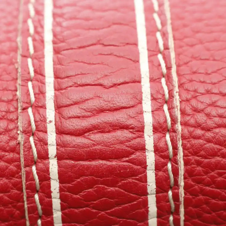 Louis Vuitton Tobago Carryall