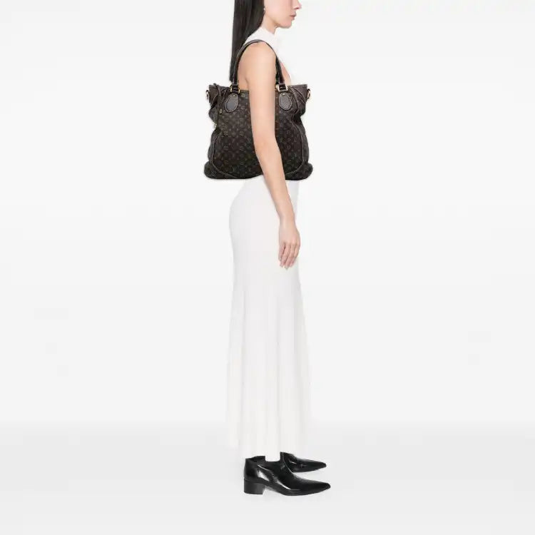 Louis Vuitton Monogram Mini Lin Besace Angele