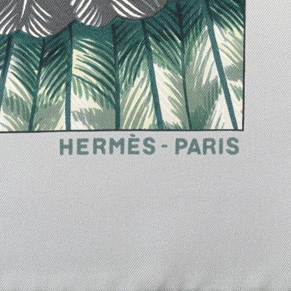 Hermès Brazil Detail Silk Scarf