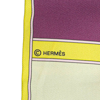 Hermès Camails Silk Twilly Scarf