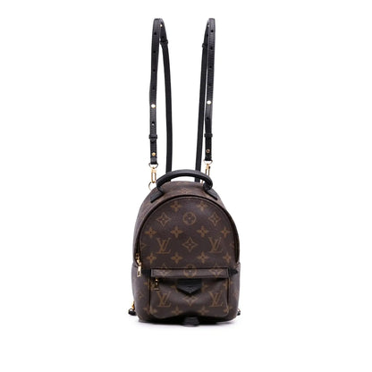 Louis Vuitton Monogram Mini Palm Springs