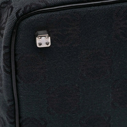 Loewe Anagram Canvas Vanity Case