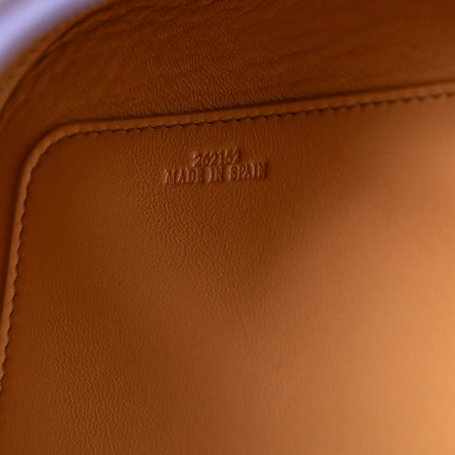 Loewe Medium Leather Goya Crossbody