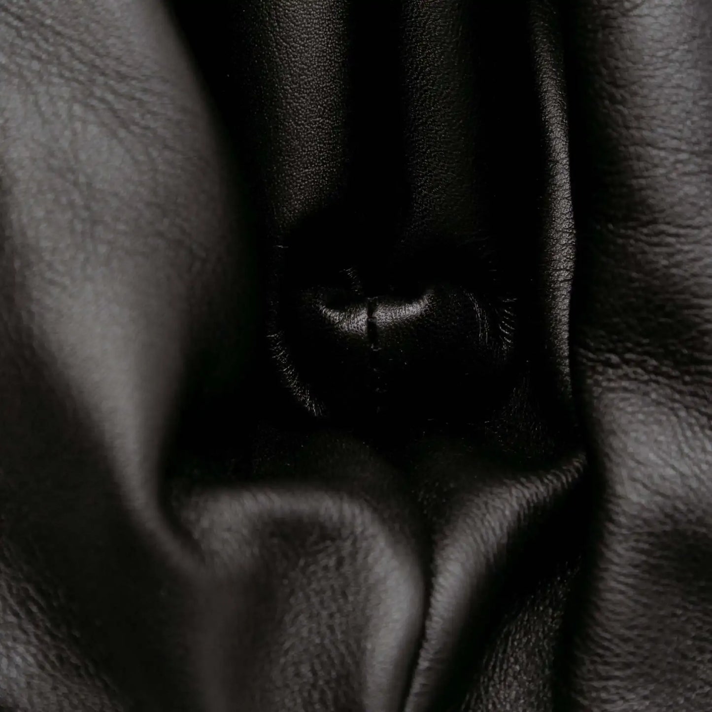 Bottega Veneta Smooth Butter Calf The Pouch