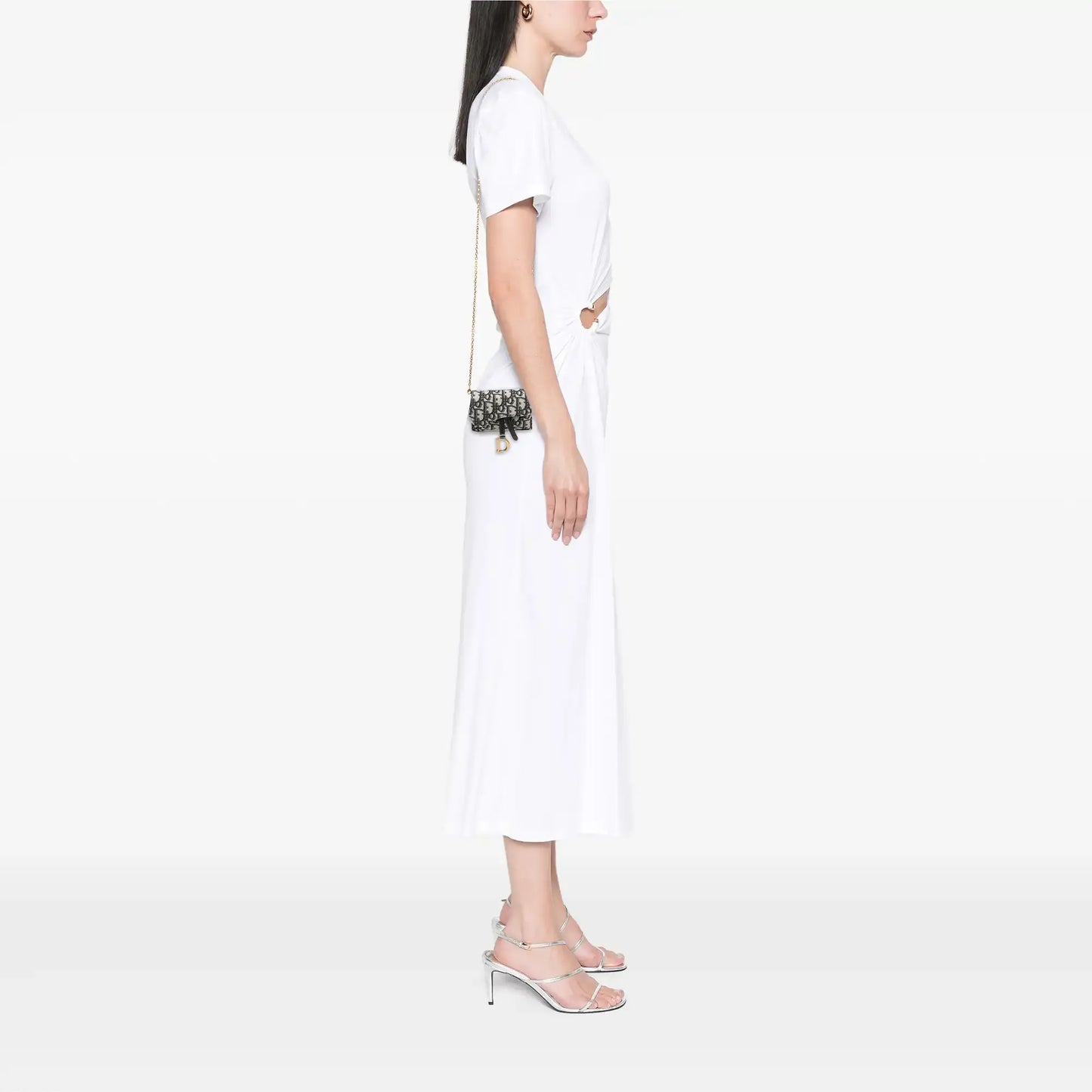 Dior Nano Oblique Canvas Saddle Chain Pouch