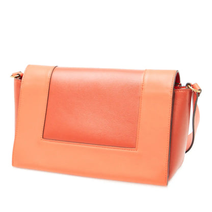 Celine Leather Frame Shoulder Bag