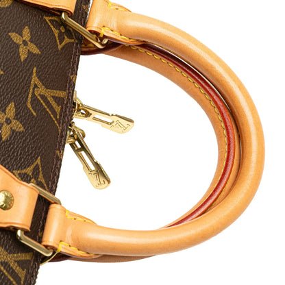 Louis Vuitton Monogram Alma PM