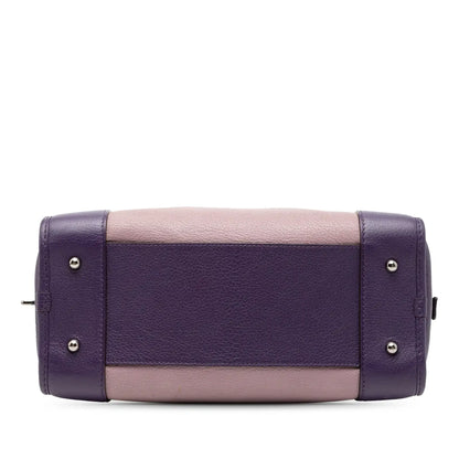 Loewe Tricolor Goatskin Amazona 28