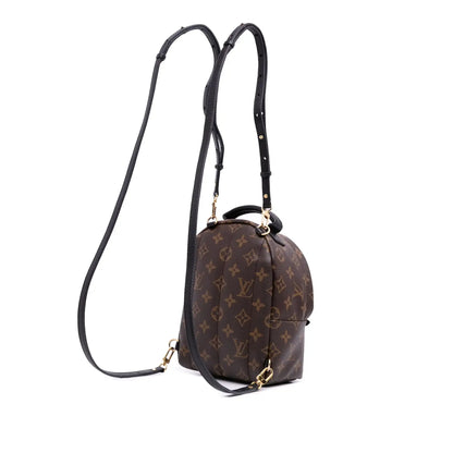 Louis Vuitton Monogram Mini Palm Springs