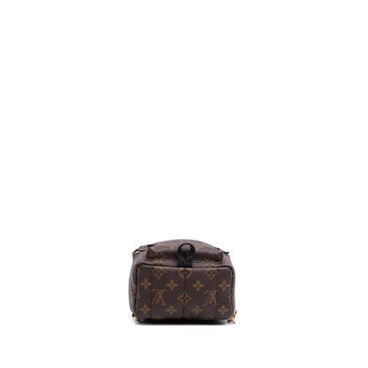 Louis Vuitton Monogram Mini Palm Springs