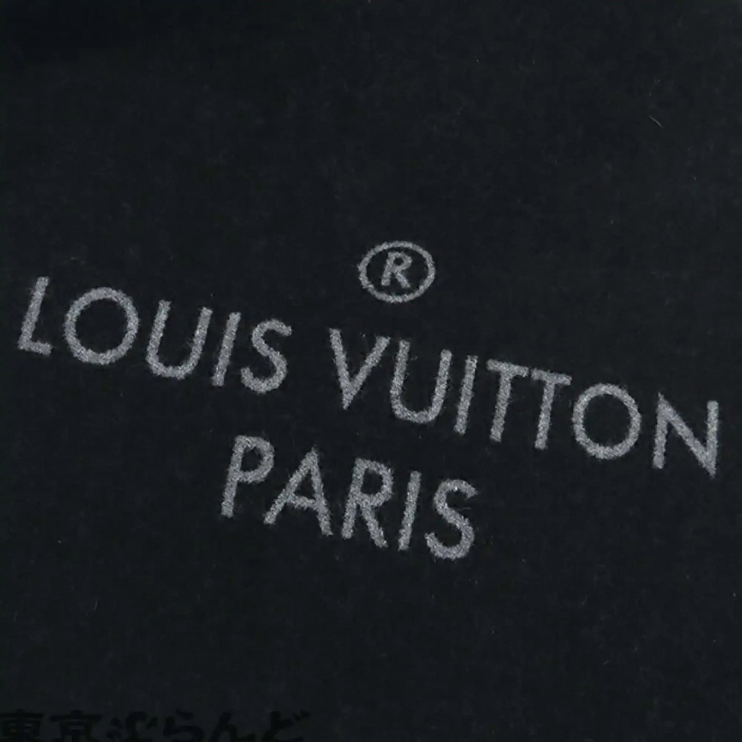Louis Vuitton Wool and Cashmere Echarpe City Alps Logo Patch Scarf