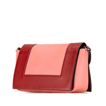 Celine Leather Frame Shoulder Bag