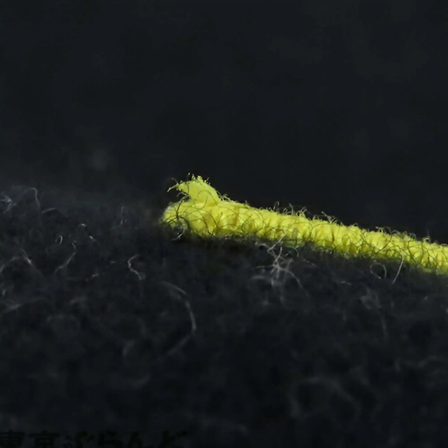 Louis Vuitton Wool and Cashmere Echarpe City Alps Logo Patch Scarf